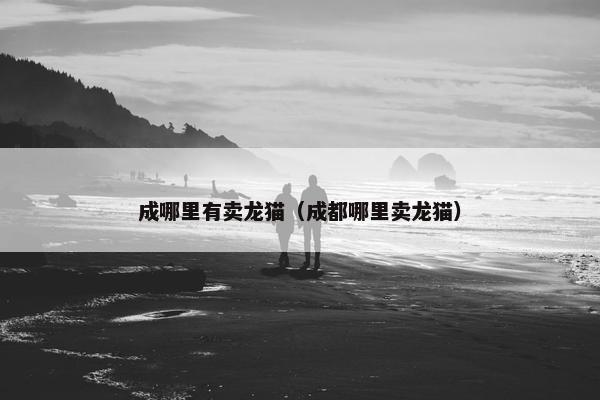 成哪里有卖龙猫（成都哪里卖龙猫）