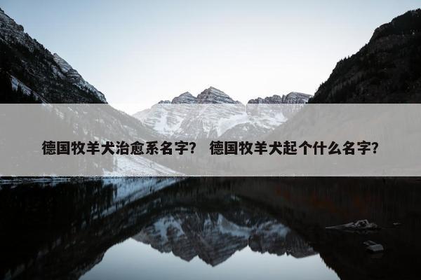 德国牧羊犬治愈系名字? 德国牧羊犬起个什么名字?