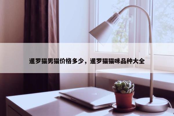 暹罗猫男猫价格多少，暹罗猫猫咪品种大全