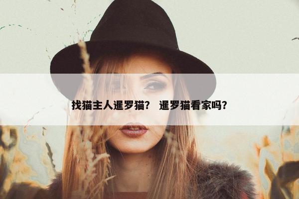 找猫主人暹罗猫？ 暹罗猫看家吗？