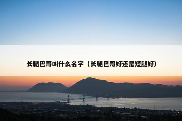 长腿巴哥叫什么名字（长腿巴哥好还是短腿好）