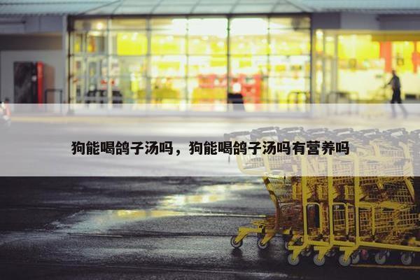 狗能喝鸽子汤吗，狗能喝鸽子汤吗有营养吗