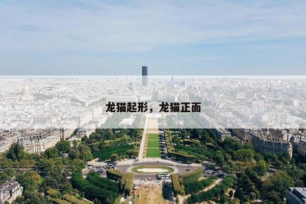 龙猫起形，龙猫正面