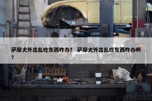 萨摩犬外出乱吃东西咋办？ 萨摩犬外出乱吃东西咋办啊？
