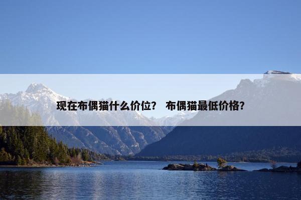 现在布偶猫什么价位? 布偶猫最低价格?
