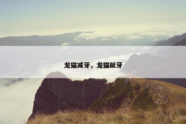 龙猫