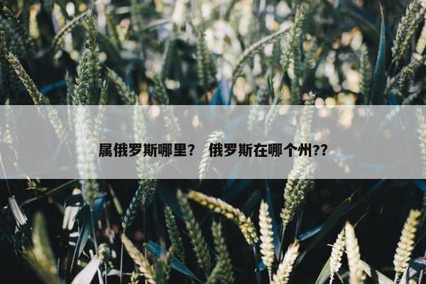 属俄罗斯哪里? 俄罗斯在哪个州??