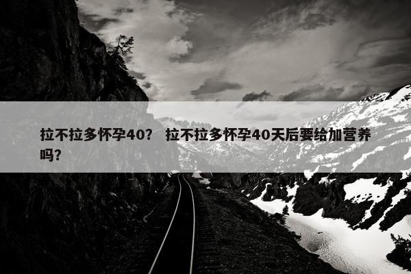 拉不拉多怀孕40？ 拉不拉多怀孕40天后要给加营养吗？