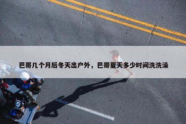巴哥几个月后冬天出户外，巴哥夏天多少时间洗洗澡