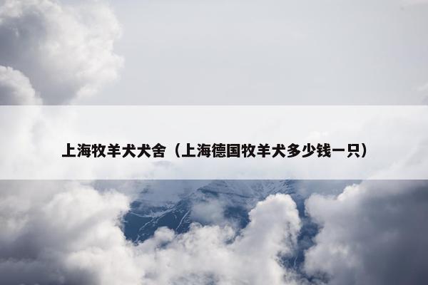 上海牧羊犬犬舍（上海德国牧羊犬多少钱一只）