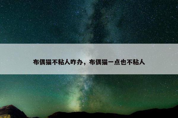 布偶猫不粘人咋办,布偶猫一点也不粘人