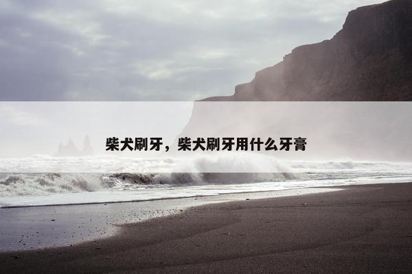 刷牙