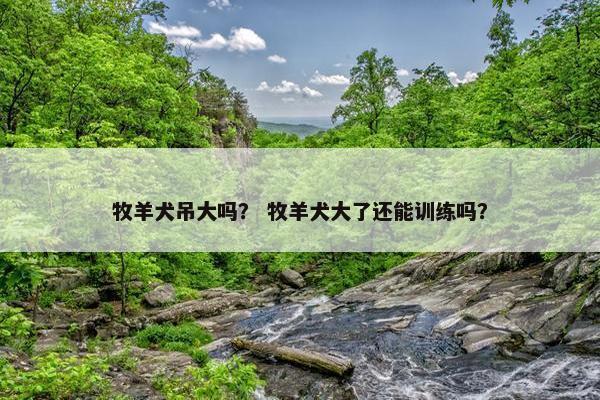 牧羊犬吊大吗？ 牧羊犬大了还能训练吗？
