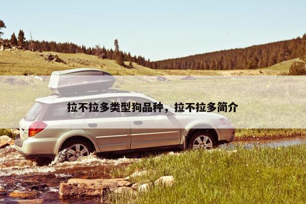 拉不拉多类型狗品种，拉不拉多简介