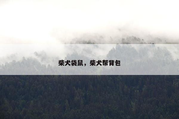 柴犬袋鼠，柴犬帮背包