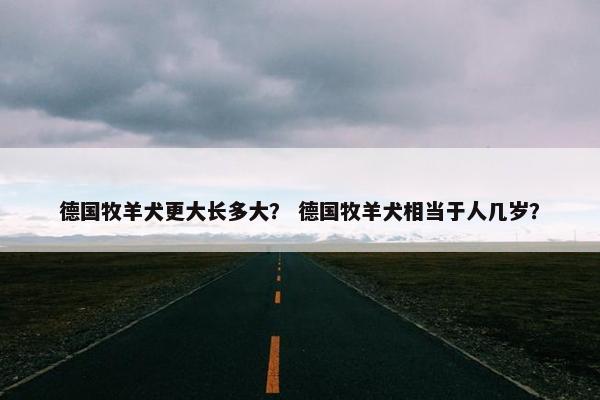 德国牧羊犬更大长多大？ 德国牧羊犬相当于人几岁？