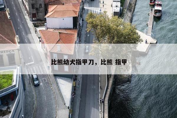 比熊幼犬指甲刀，比熊 指甲