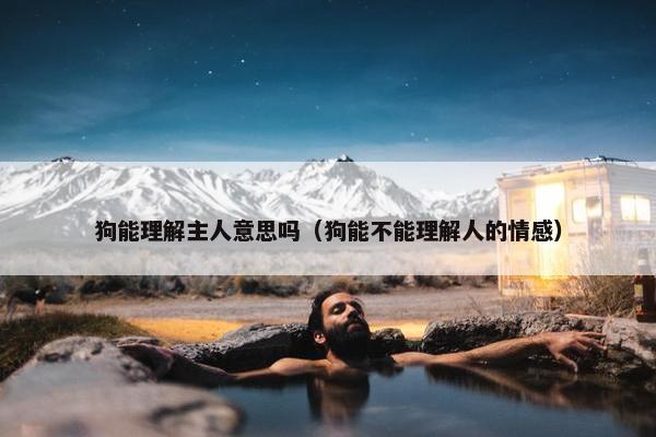 狗能理解主人意思吗（狗能不能理解人的情感）