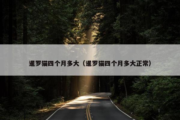暹罗猫四个月多大（暹罗猫四个月多大正常）