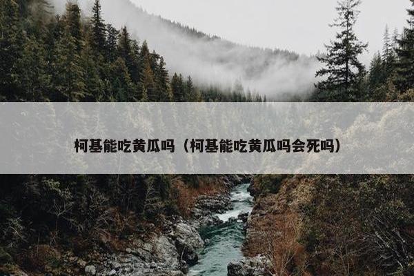 柯基能吃黄瓜吗（柯基能吃黄瓜吗会死吗）