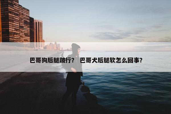 巴哥狗后腿跛行？ 巴哥犬后腿软怎么回事？