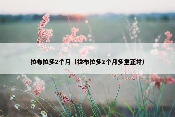 笼子