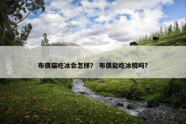 布偶猫吃冰会怎样？ 布偶能吃冰棍吗？