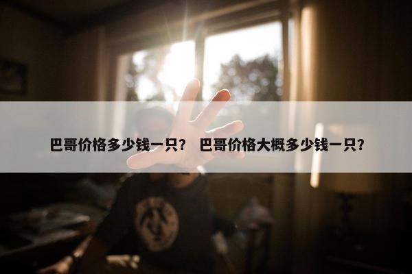 巴哥价格多少钱一只？ 巴哥价格大概多少钱一只？
