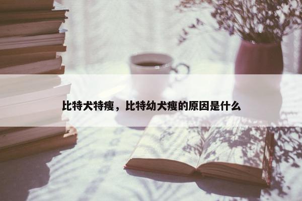 比特犬特瘦，比特幼犬瘦的原因是什么