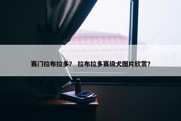 取名
