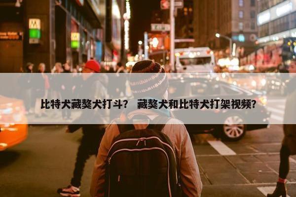 比特犬藏獒犬打斗？ 藏獒犬和比特犬打架视频？