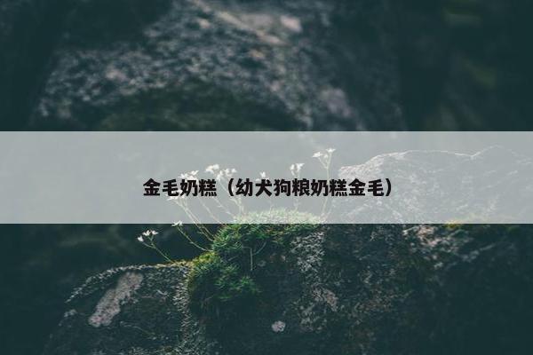 金毛奶糕(幼犬狗粮奶糕金毛)