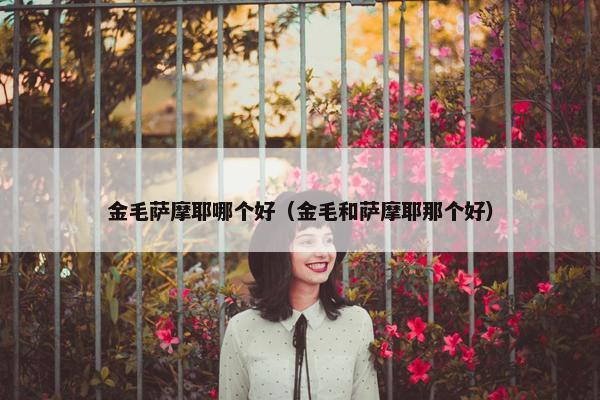 金毛萨摩耶哪个好（金毛和萨摩耶那个好）