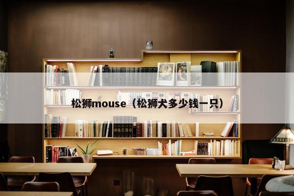 松狮mouse（松狮犬多少钱一只）