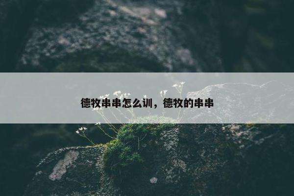 串串