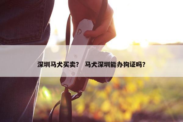 深圳马犬买卖？ 马犬深圳能办狗证吗？