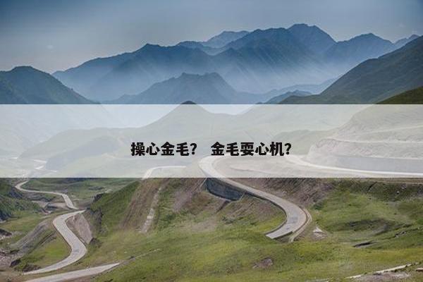 操心金毛? 金毛耍心机?