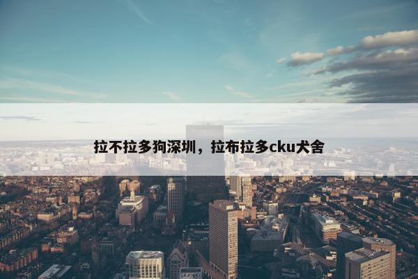 拉不拉多狗深圳，拉布拉多cku犬舍
