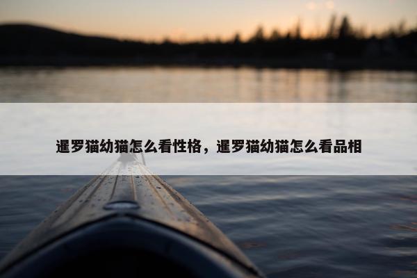 暹罗猫幼猫怎么看性格，暹罗猫幼猫怎么看品相
