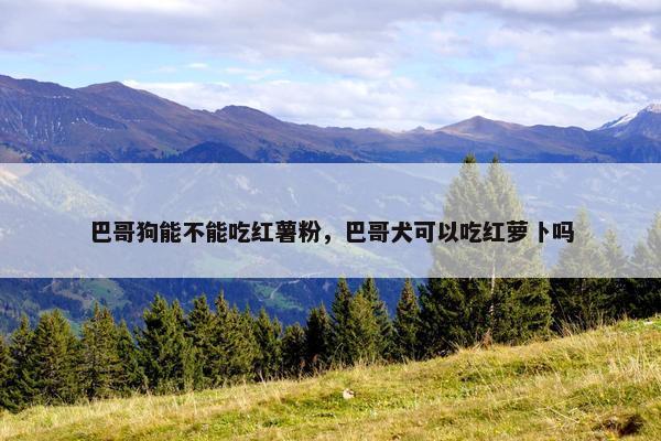 巴哥狗能不能吃红薯粉，巴哥犬可以吃红萝卜吗
