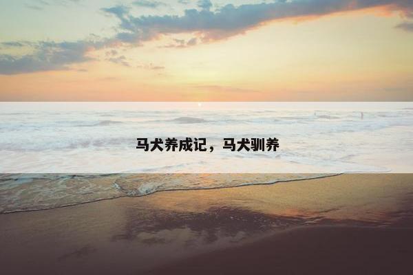 马犬养成记，马犬驯养