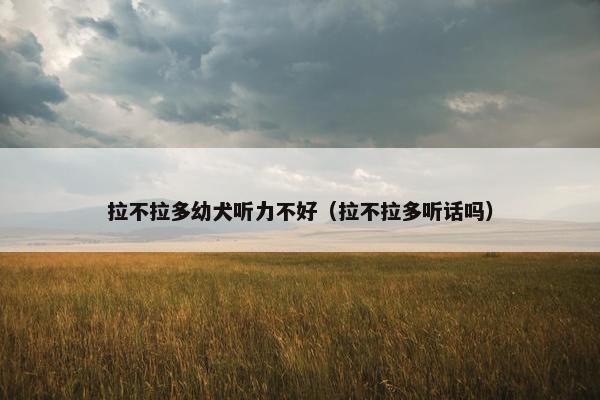拉不拉多幼犬听力不好（拉不拉多听话吗）