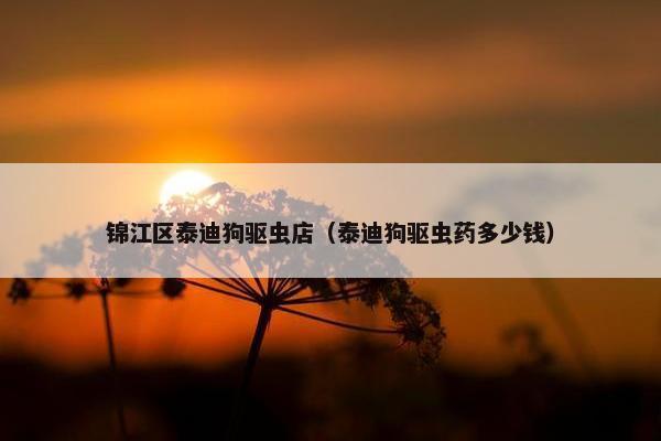 锦江区泰迪狗驱虫店（泰迪狗驱虫药多少钱）