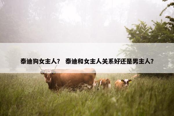 泰迪狗女主人? 泰迪和女主人关系好还是男主人?