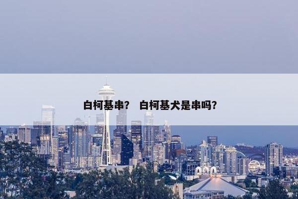 白柯基串？ 白柯基犬是串吗？