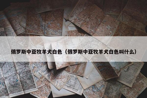 俄罗斯中亚牧羊犬白色（俄罗斯中亚牧羊犬白色叫什么）
