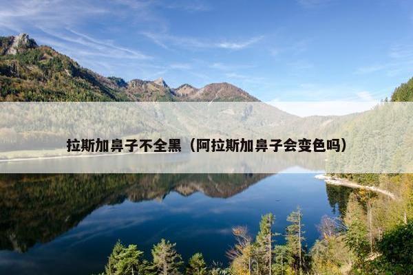 拉斯加鼻子不全黑（阿拉斯加鼻子会变色吗）