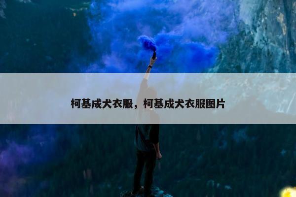 柯基成犬衣服，柯基成犬衣服图片