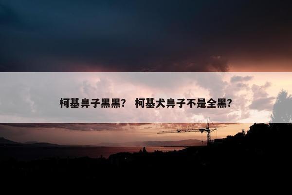 柯基鼻子黑黑？ 柯基犬鼻子不是全黑？