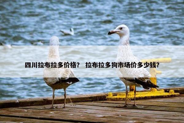 四川拉布拉多价格？ 拉布拉多狗市场价多少钱？